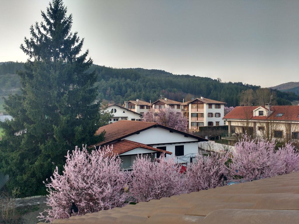 Casa Tau Konuk evi Larrasoana Dış mekan fotoğraf