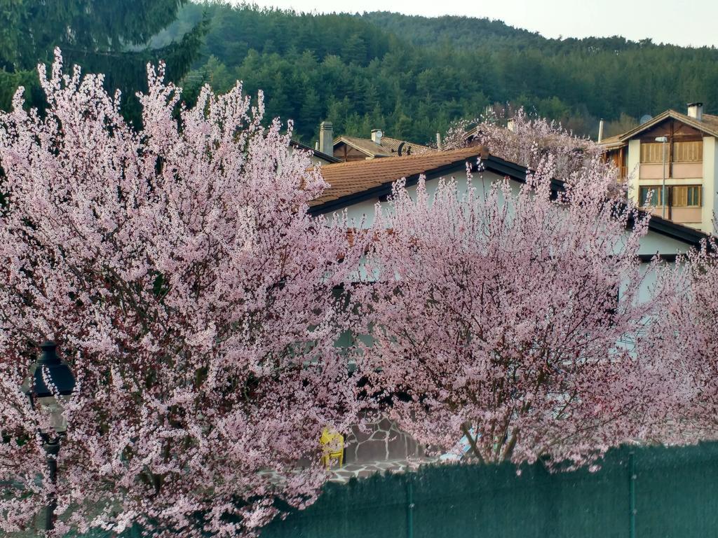 Casa Tau Konuk evi Larrasoana Dış mekan fotoğraf